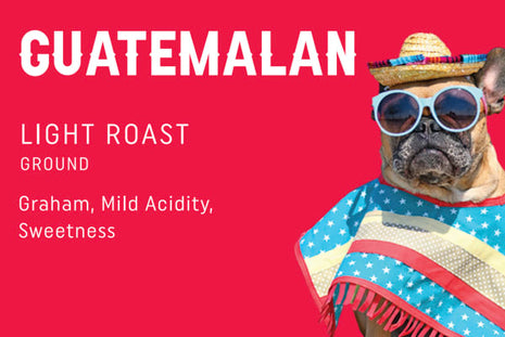 Guatemalan (Light Roast) 12 oz Whole Bean Coffee