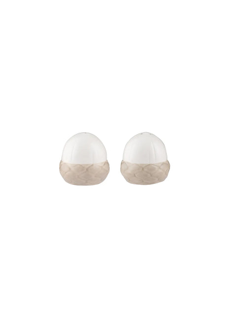 Acorn Salt And Pepper Shakers 2pc