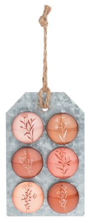 6pc Botanical (Orange) Glass Magnet Set
