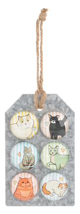 Magnets -Colorful Cats 6 pc set