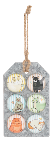 Magnets -Colorful Cats 6 pc set
