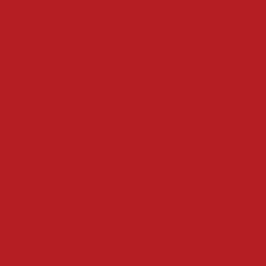 The image is a solid red color, with no other objects or text present.