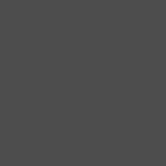 The image is a simple, monochromatic square with no discernible objects or actions.