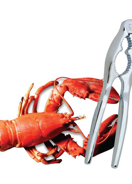 Nut/ Lobster