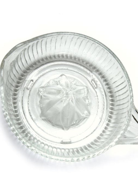 Glass Citrus Juicer
