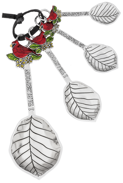 Measuring Spoons - Metal 4 Pc