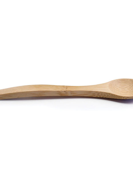 Bamboo Condiment Spoon Single