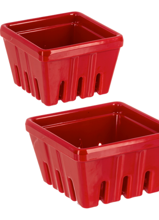 Nested Red Berry Containers (2 pc. set)