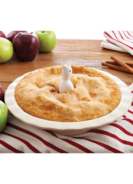 White Pie Bird