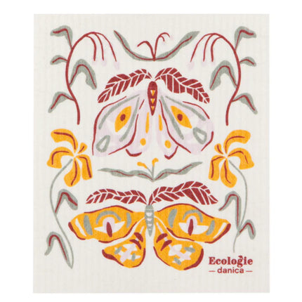 Swedish Dishcloth Plants Nocturna