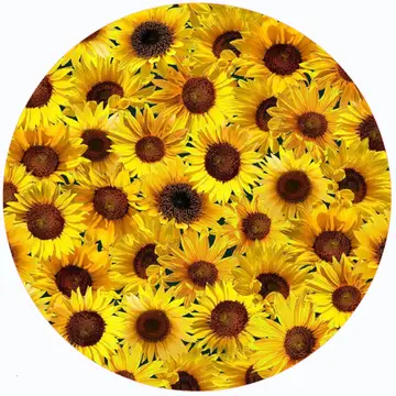 Sunflower Round Trivet 8in