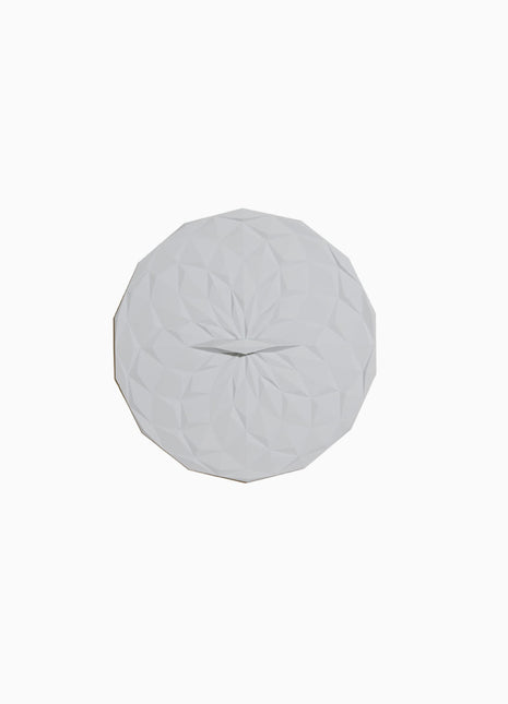 Round Silicone Lid