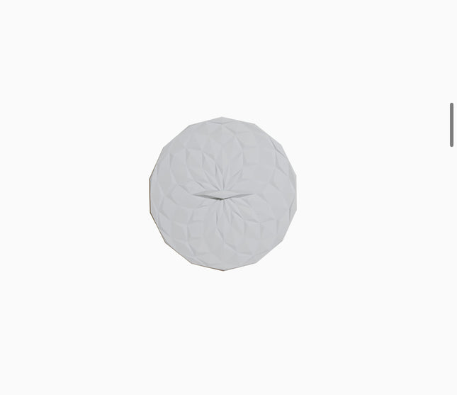 Round Silicone Lid