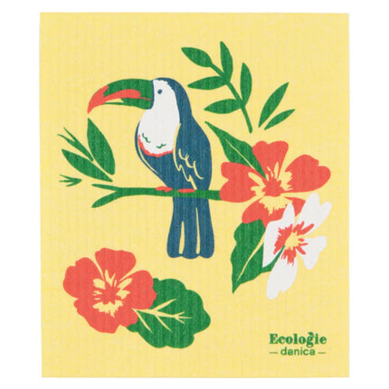 Swedish Dishcloth Plants Tropical Trove