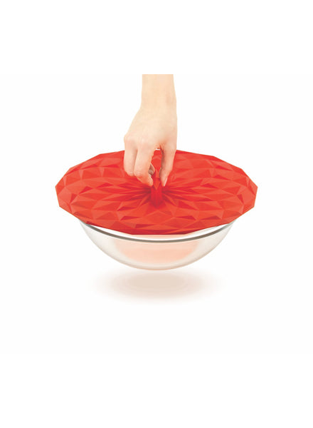 Round Silicone Lid