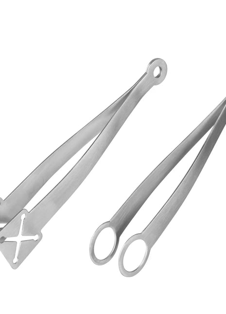 Appetizer Tongs 2 Pk