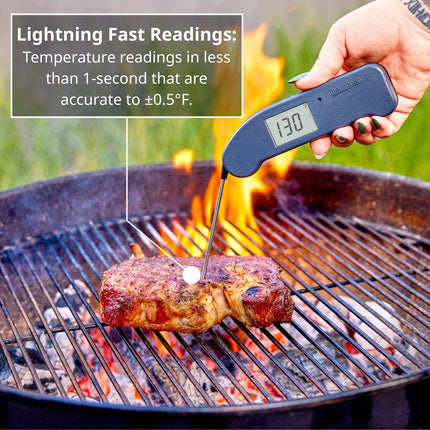 Thermapen One Purple