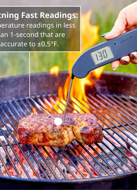 Thermapen One Purple