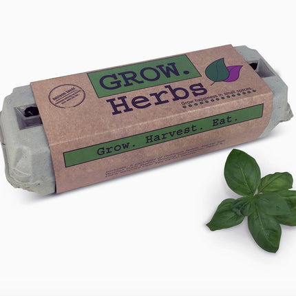 Herb Garden Seed Grow Kit
