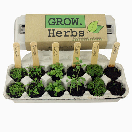 Herb Garden Seed Grow Kit